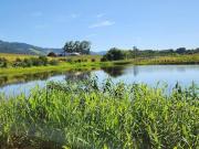 Fazenda / Sítios / Chácaras com 1 quarto à venda em...