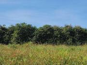 Fazenda / Sítios / Chácaras com 3 quartos à venda em...