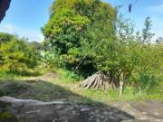 Fazenda / Sítios / Chácaras com 3 quartos à venda em...