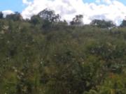 Fazenda / Sítios / Chácaras com 3 quartos à venda em...