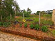 Fazenda / Sítios / Chácaras com 3 quartos à venda em...