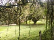 Fazenda / Sítios / Chácaras com 3 quartos à venda em...