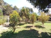 Fazenda / Sítios / Chácaras com 4 quartos à venda em...