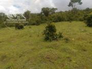 Fazenda Venda Arraias TO ZONA RURAL