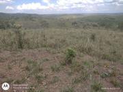 Fazenda ã venda de 38 alqueires em caldas novas goiãs