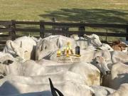 Fazenda Ã Venda Zona Rural Cachoeira Paulista/SP