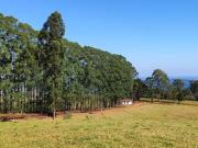 Fazenda, Zona Rural, Botucatu, SP