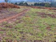 Fazenda Zona Rural Santo Antônio do Amparo