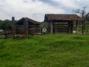 Fazenda/MG