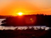 Fazenda/SÃtio/ChÃ¡cara para venda tem 73000 metros...