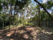 Fazenda/Sítio com 3 Quartos e 1 banheiro à Venda, 135 m²...
