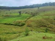 Fazenda/Sítio com 3 Quartos e 1 banheiro à Venda, 484000...