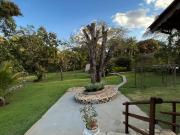 Fazenda/Sítio com 4 Quartos e 2 banheiros à Venda, 10210...