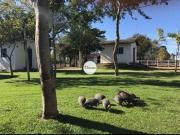 Fazenda/sítio de luxo a venda em Riachinho MG 31 HA...
