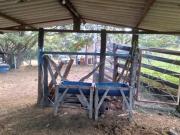 Fazendinha 8 hectares muito baratoooo WS008