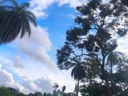 FAZENDINHA DE 2 HECTARES E MEIO