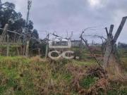 Felgueiras Porto 87555346