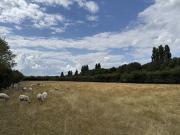 Fen Drayton, Land Off Holywell Ferry Road, Cambridge,...