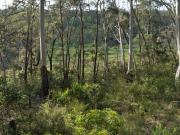 Fenced Vacant Land with Endless Potential