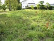 Férel 56130 Programme neuf terrain neuf à vendre