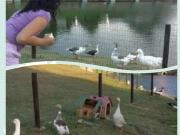 Feriado ConsciÃªncia Negra! Vem PrÃ¡CÃ¡! Vem Aproveitar!...