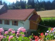 Ferienhaus/Appartment in ruhiger Lage zu vermieten