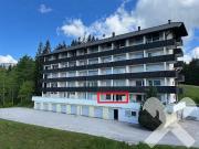 Ferienwohnung in Bad Mitterndorf Alpenblick Haus II