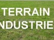 Terrain 27000m2 industriel Vue sur mer Ain sebaa