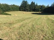 Ferme 3 chambres, MARVAL Limousin 87440 DS89291204