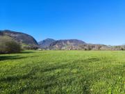 FERME BÉARNAISE AVEC 15 ha