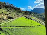 FERME BÉARNAISE AVEC 15 ha