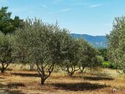 Ferme de 1400 m2 en vente Villelaure, France