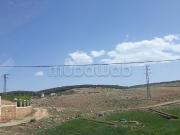 Ferme en vente de 5 hectares à Ifrane