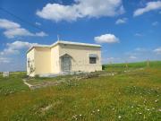 Ferme titré 5990m2 à ait wahi