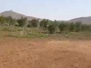 Ferme Titrée 2 Hectares 2500 m² Marrakech Borrous