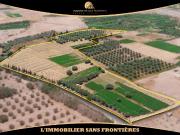 Ferme titrée de 4 Hectare à vendre, Souihla