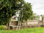 Fermil do Lago House Apartment