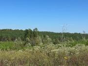 Fernwood Dr Lot,dover, Plot For Sale