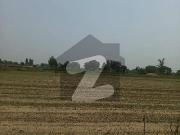 Feroze pur road lahore open land for sale