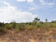 Ferreira do Zêzere Santarém 2240 102 85428024