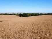 Ferry rd, boonville, mo 65233