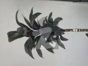 FGEHA 12 Marla Plot For Sale in F 14/4