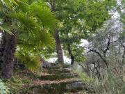 Fienile in vendita a Cerreto Borgo a Mozzano 31 mq Rif:...