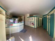 Figurstudio in Korneuburg sucht engagierte Nachfolge Figurstudio in Korneuburg sucht engagierte Nachfolge