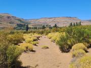 FINA PATAGONIA. Campo en venta de 159087.17m2 ubicado en...