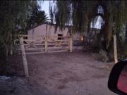 Finca 10 hect en producción en Rivadavia