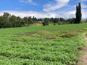 ✨FINCA 123.679 M2 VEREDA BOSIGAS NORTE SOTAQUIRA BOYACÁ✨