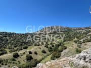 Finca 246 ha Caza Mayor, Turismo Rural, Ganadería