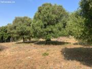 Finca 2 HA terreno in Alcaidesa