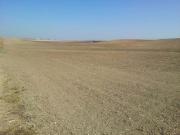 FINCA 400 Has CEREALES